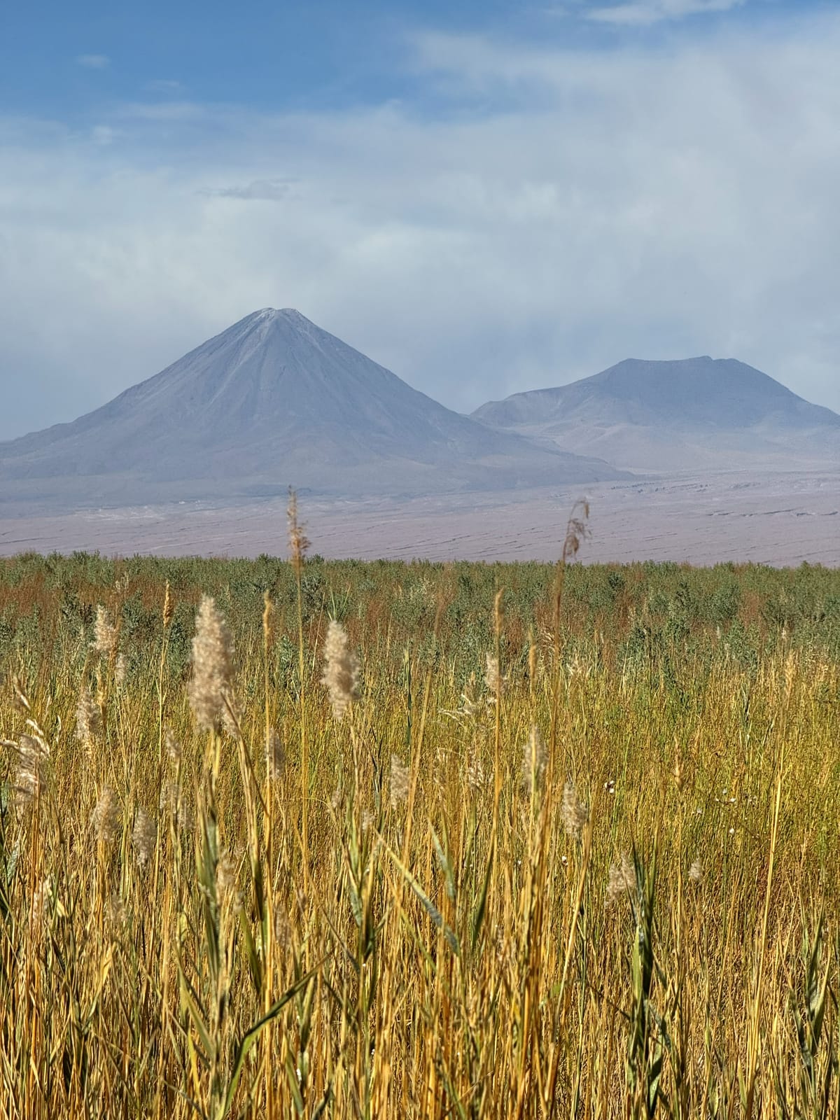 Laguna Cejar · foto 7