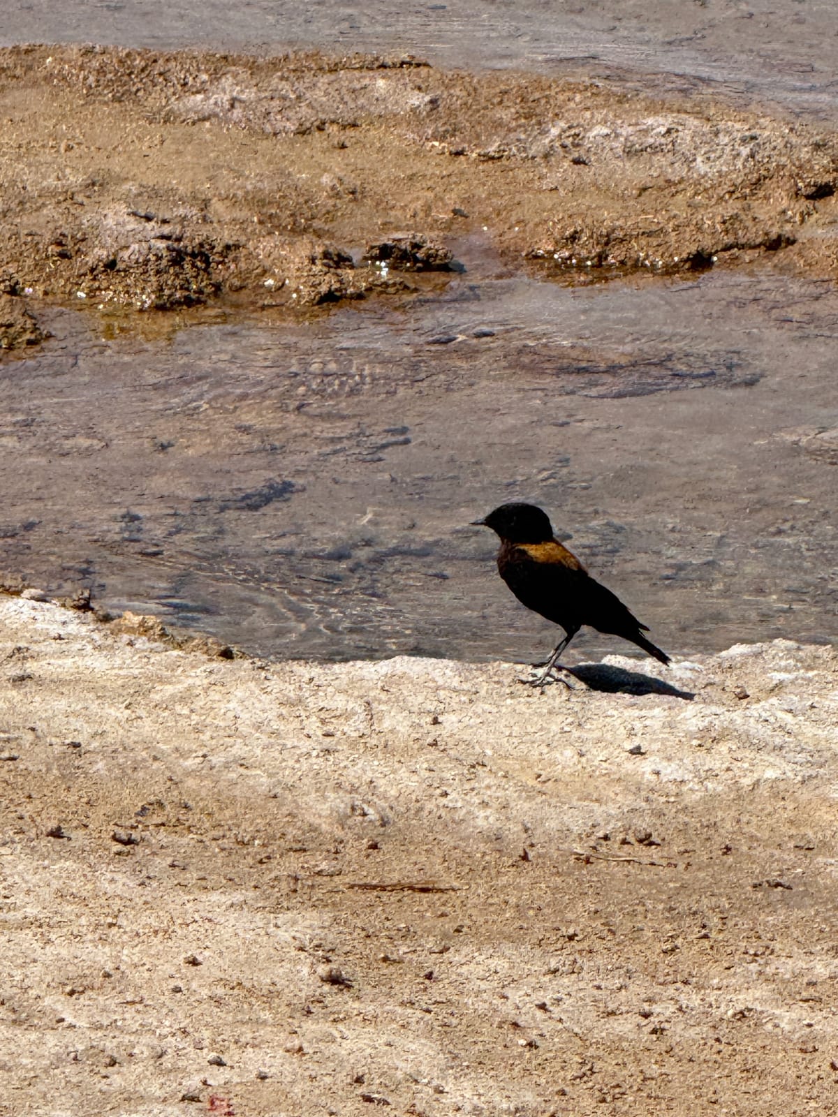 Laguna Cejar · foto 14