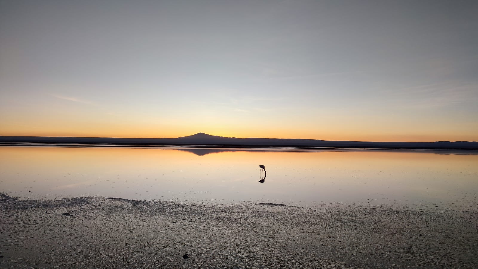 Laguna Chaxa · foto 5