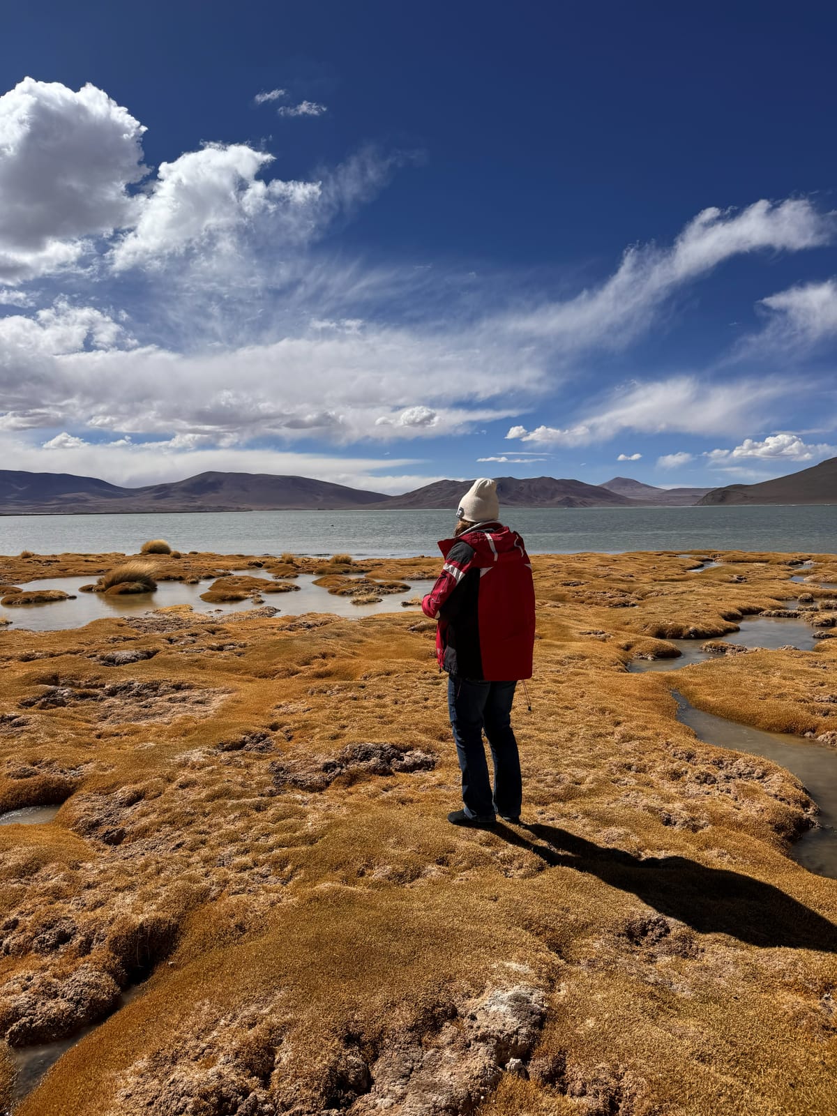 Laguna Lejía · foto 2