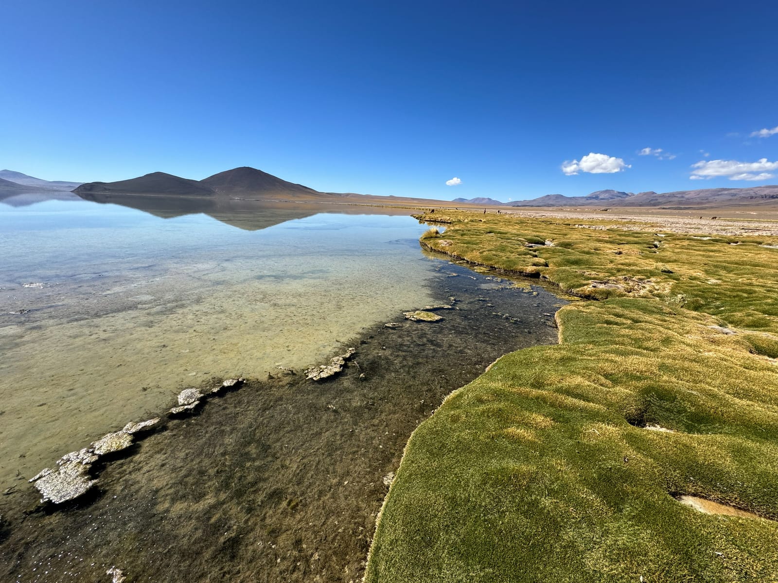 Laguna Lejía · foto 9