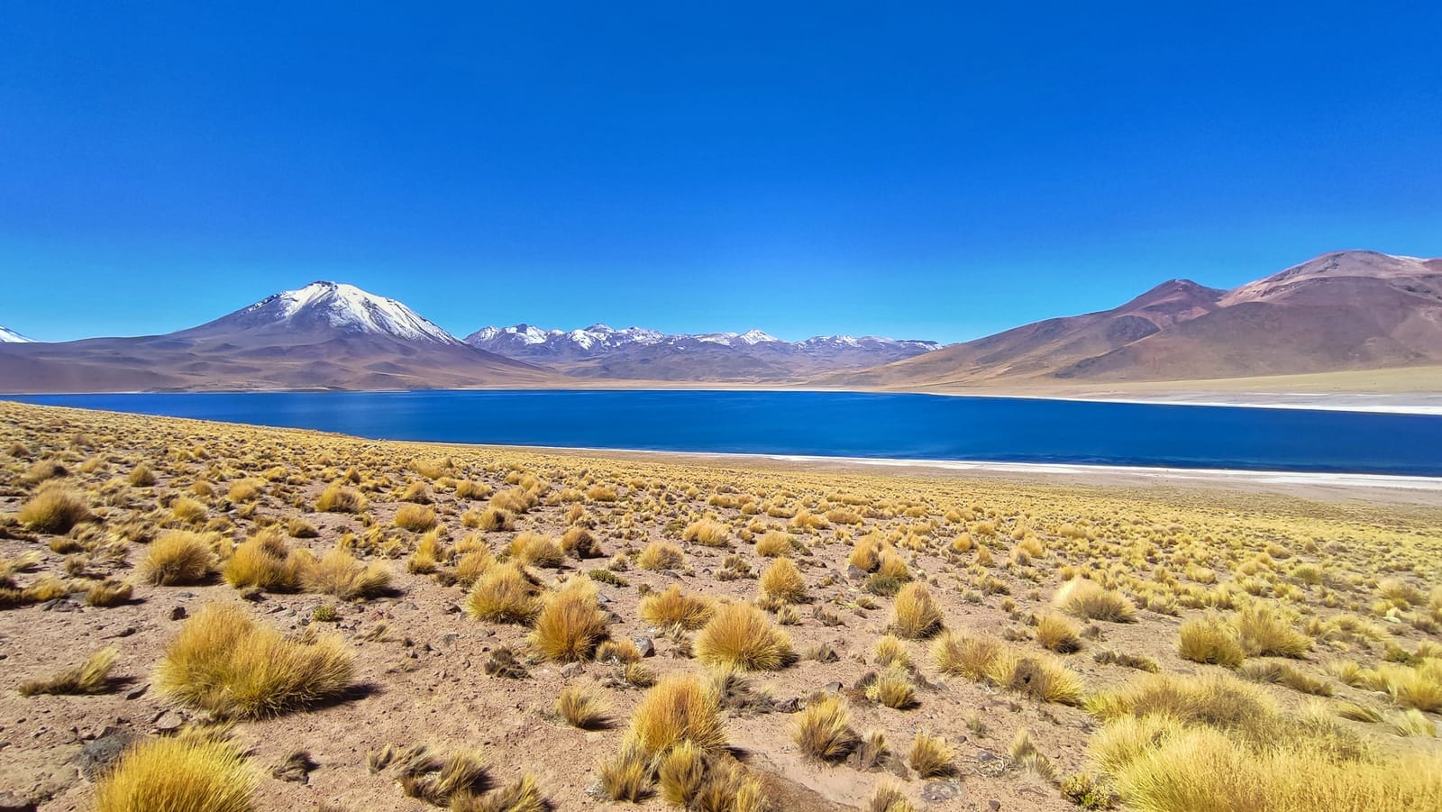 Lagunas Altiplánicas · foto 3