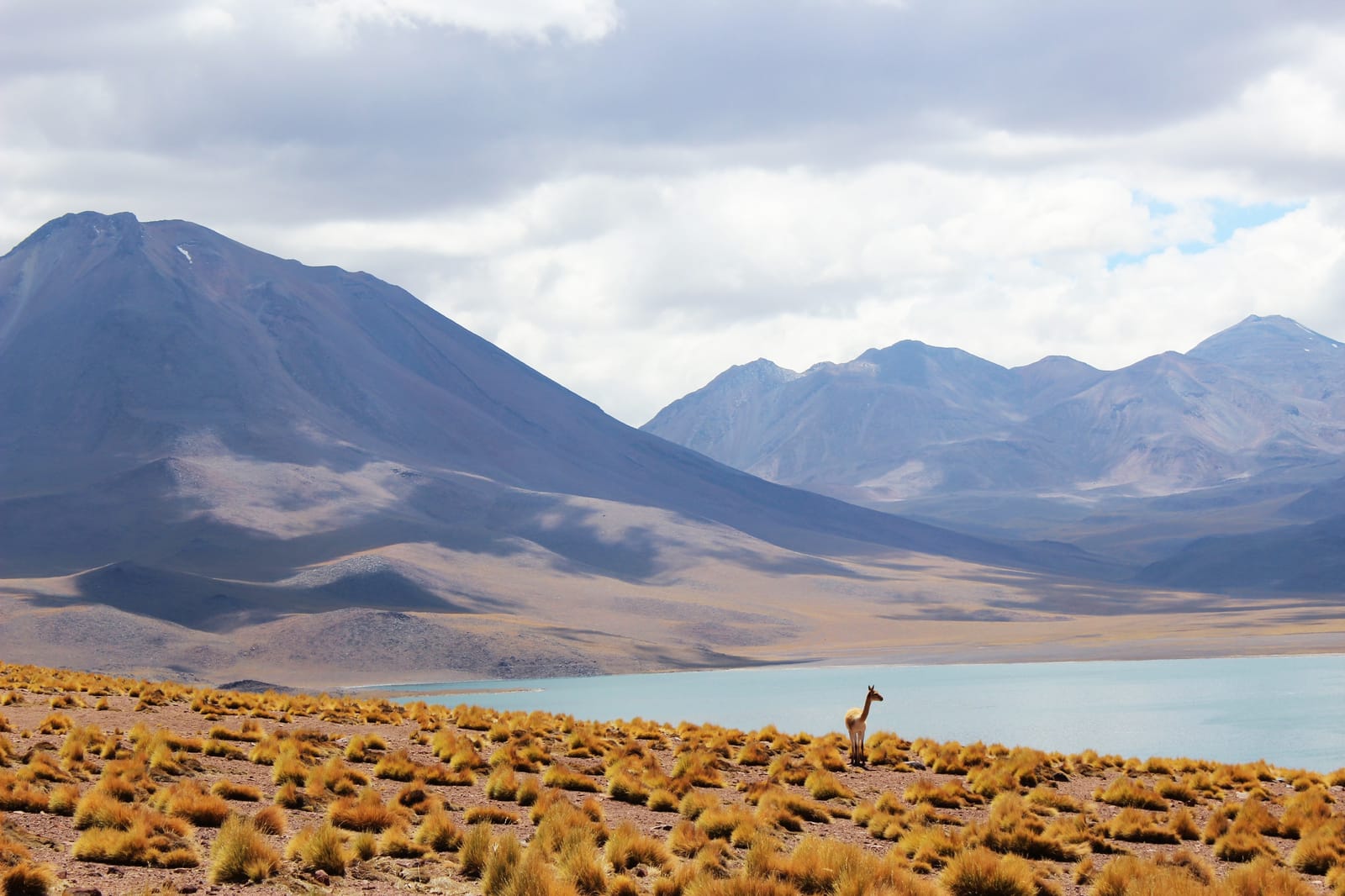 Lagunas Altiplánicas · foto 5