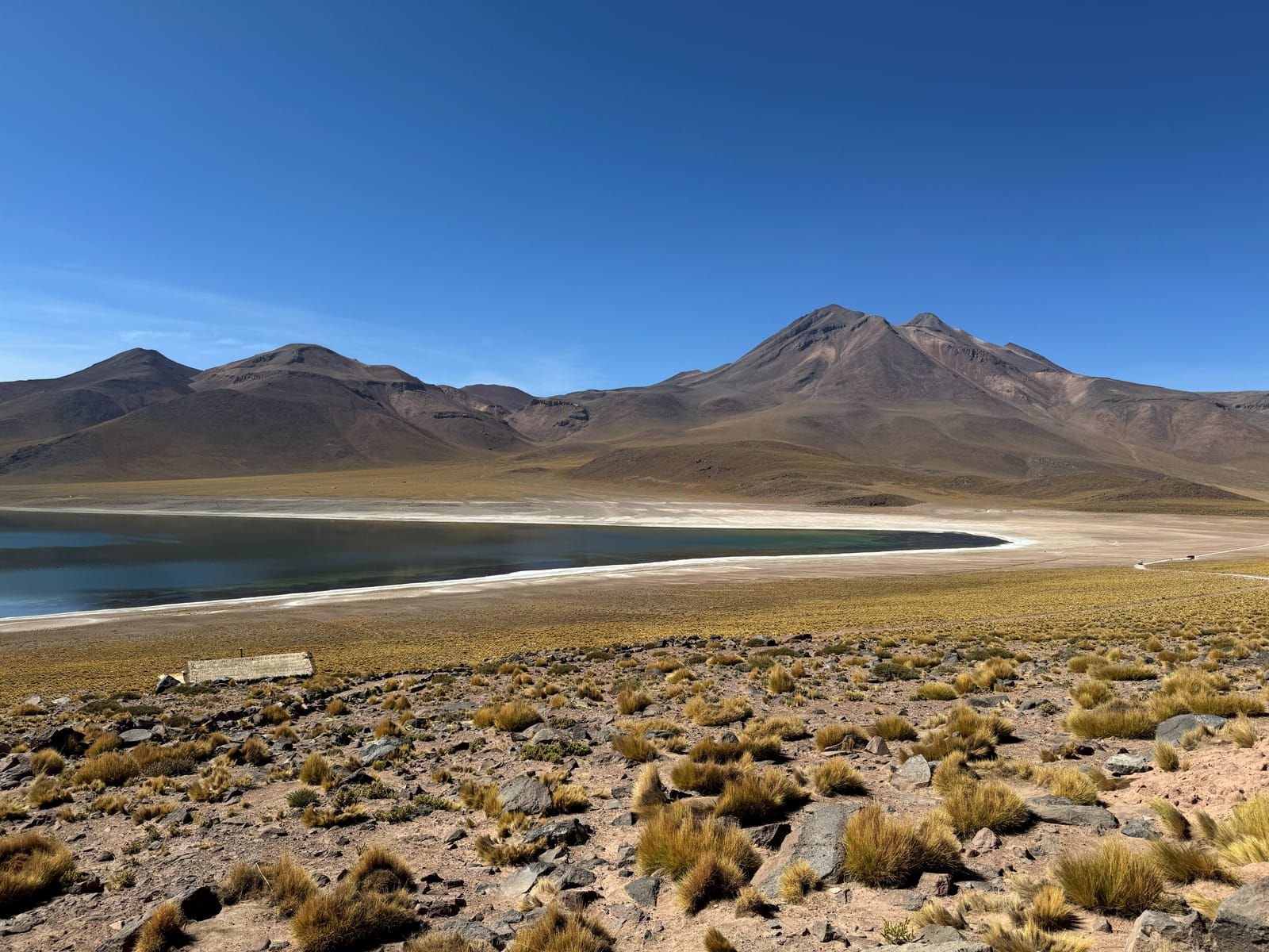Lagunas Altiplánicas · foto 8
