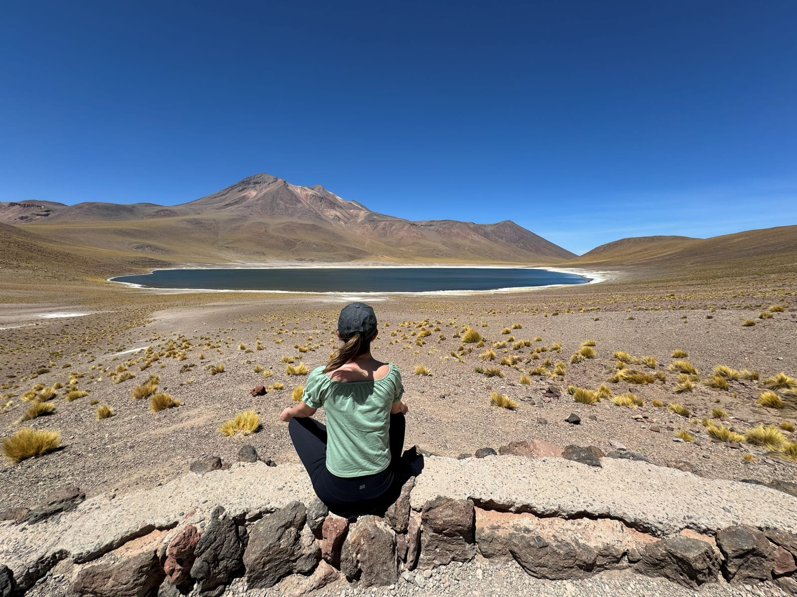 Lagunas Altiplánicas · foto 9