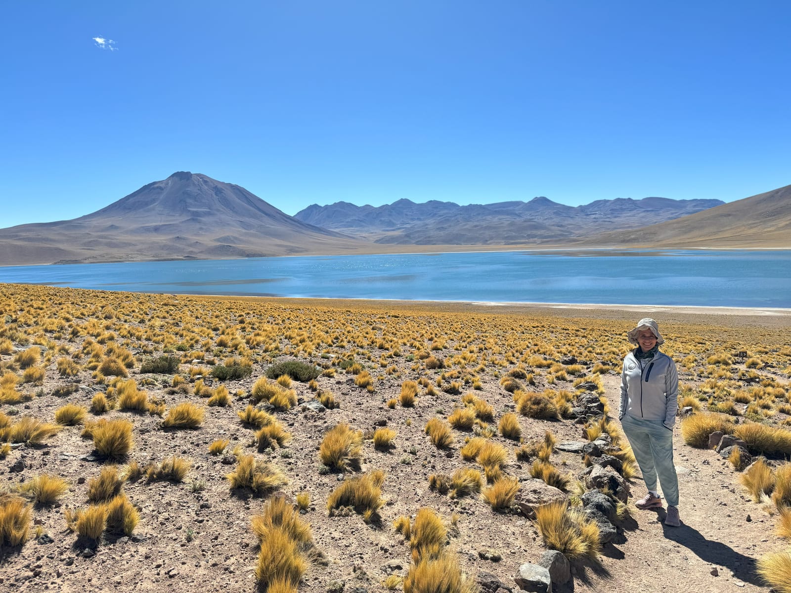Lagunas Altiplánicas · foto 10