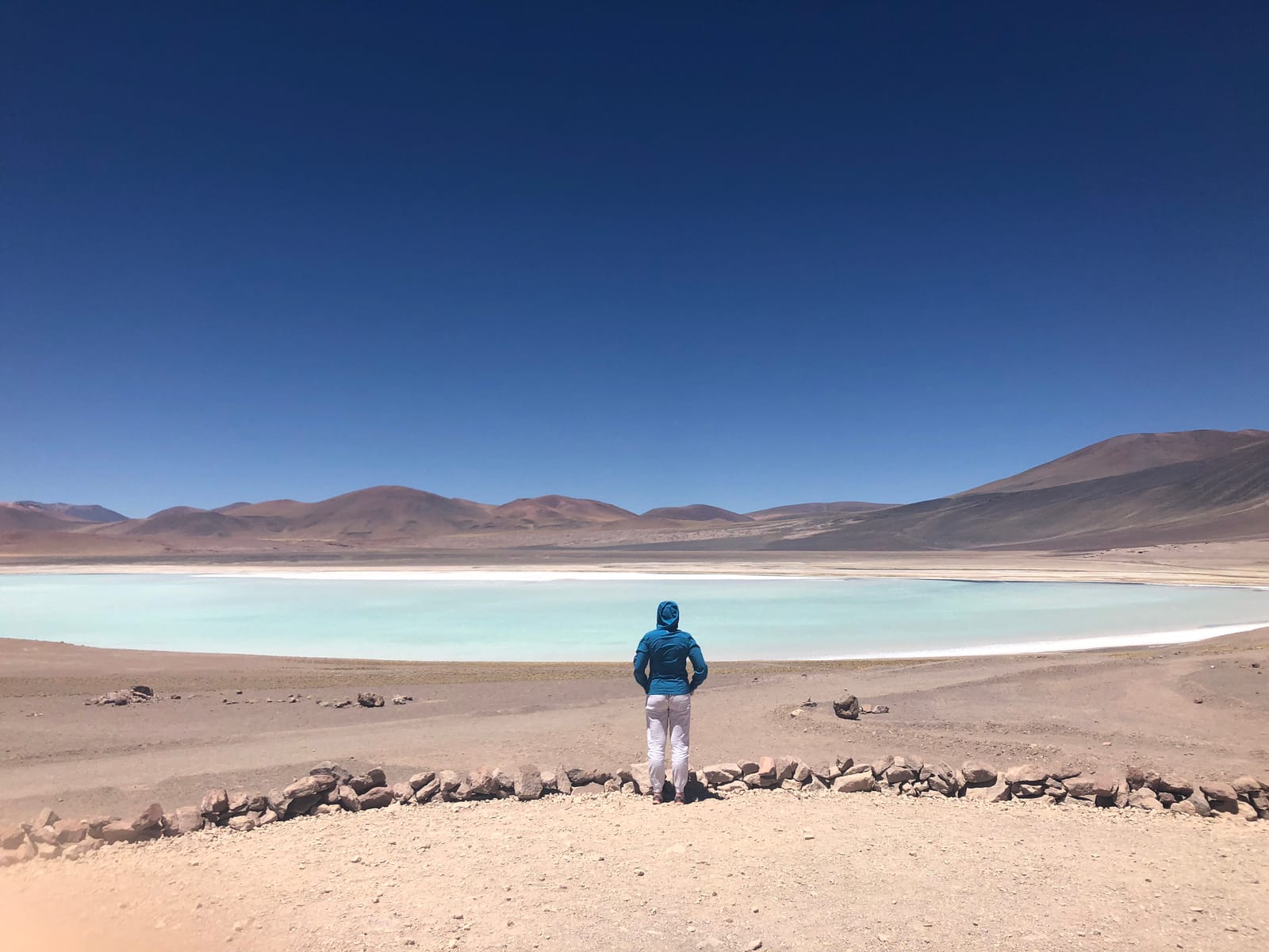 Lagunas Altiplánicas · foto 12