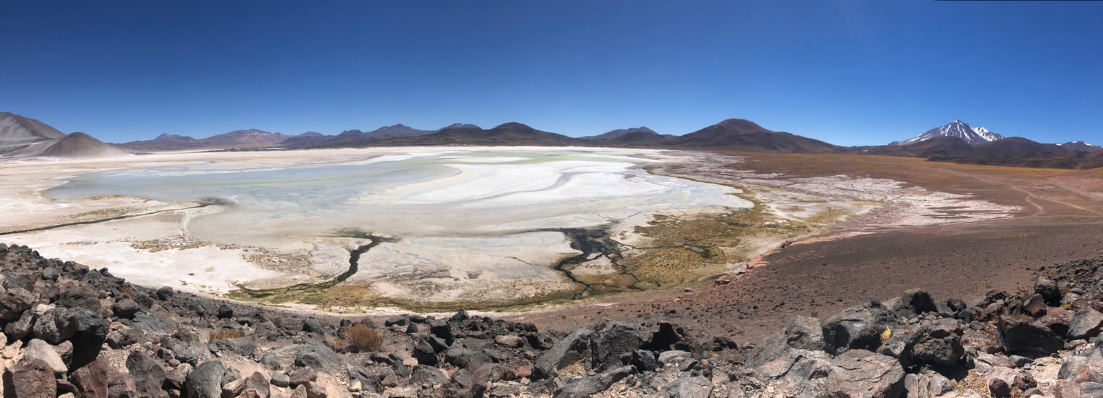 Lagunas Altiplánicas · foto 13