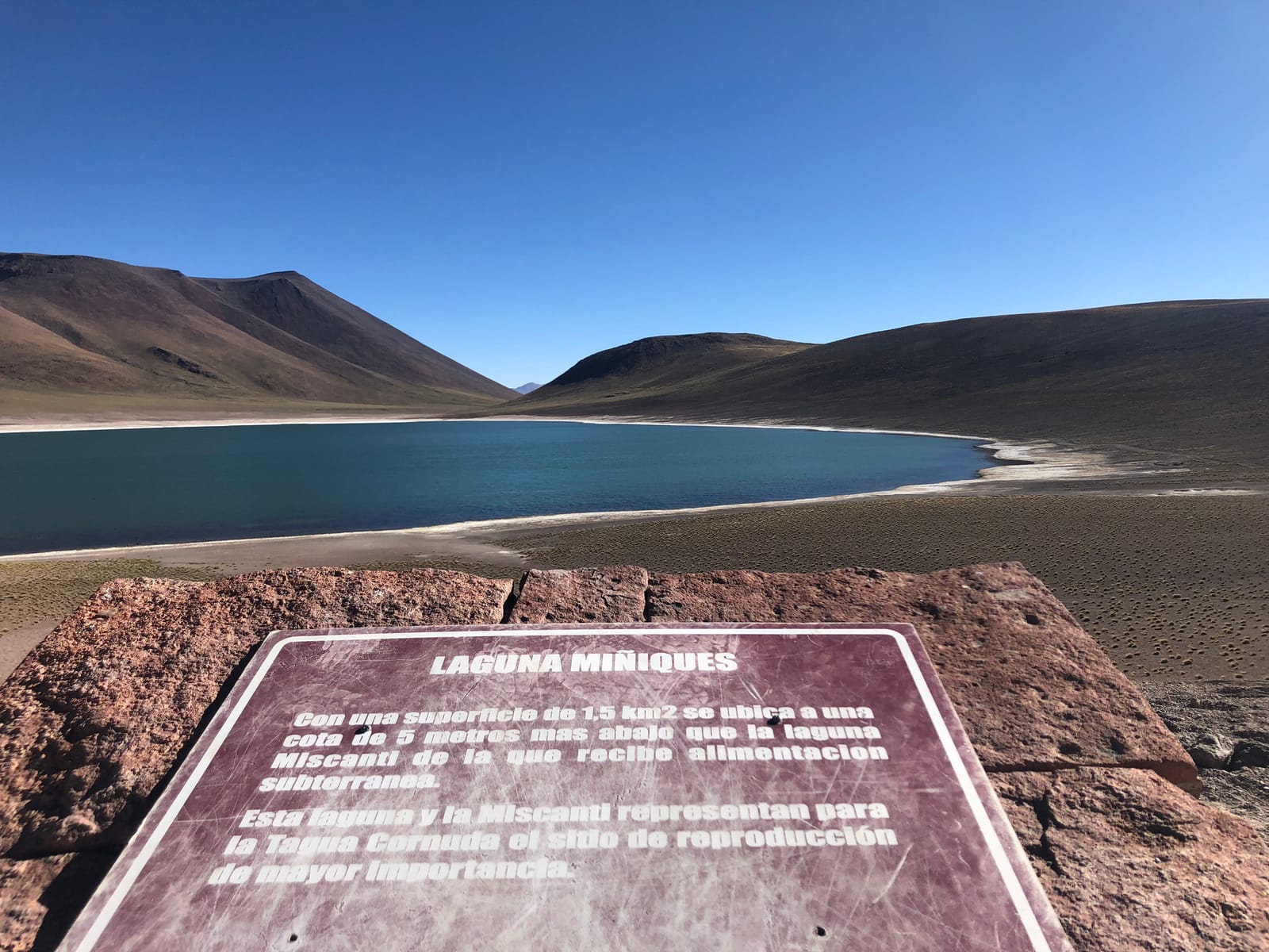 Lagunas Altiplánicas · foto 15