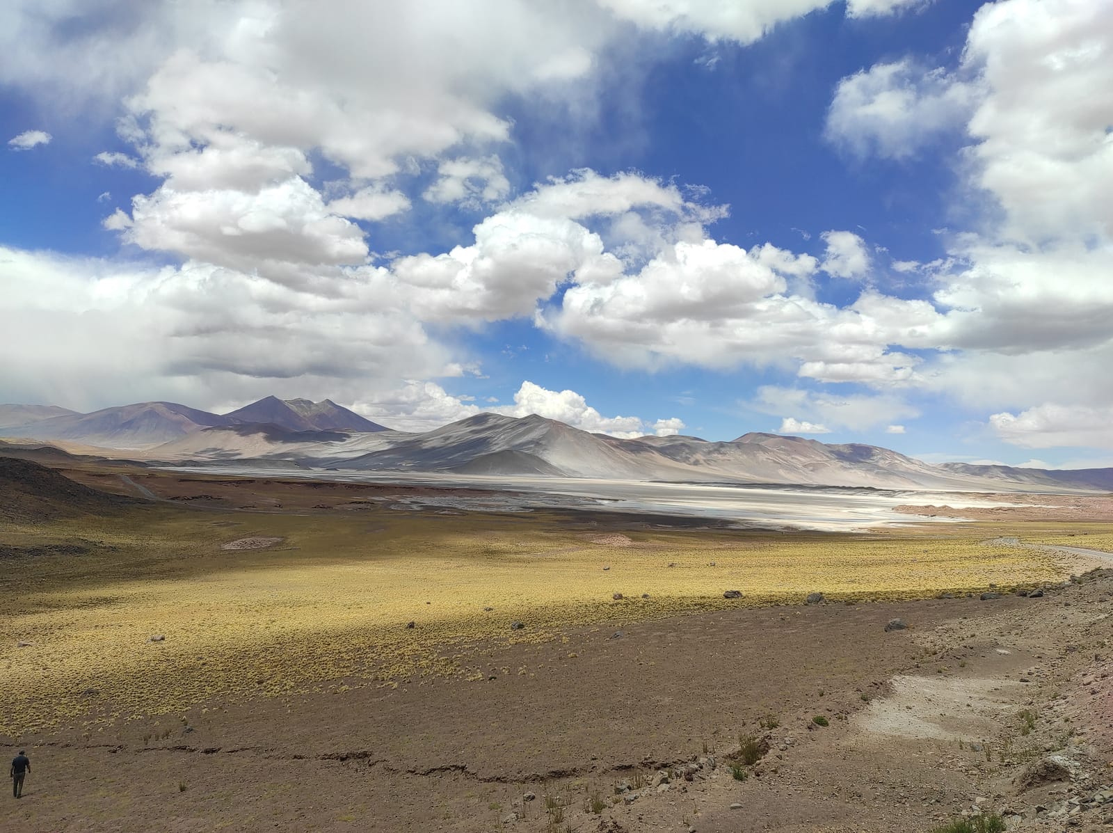 Lagunas Altiplánicas · foto 16