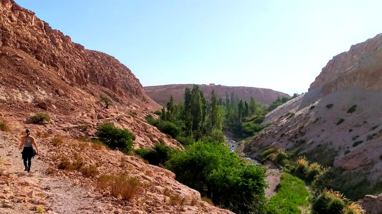 Valle de Jeréz · foto 3