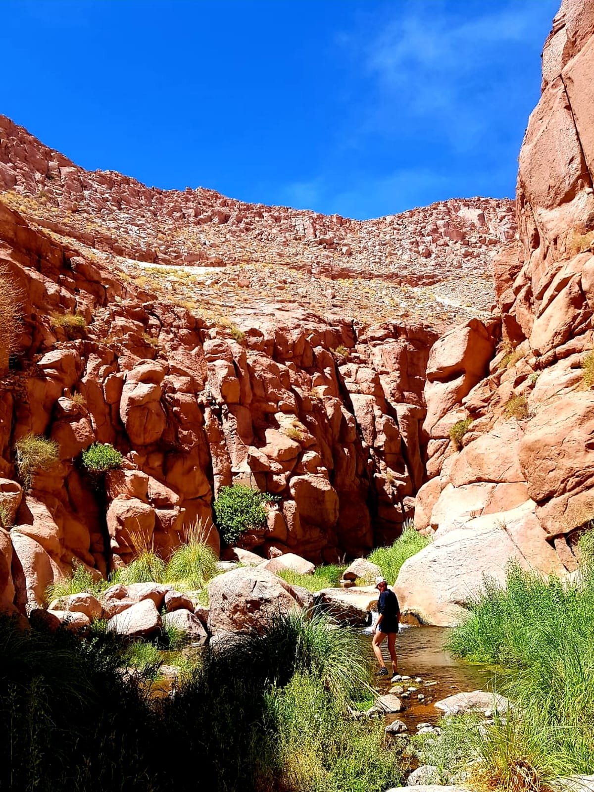 Valle de Jeréz · foto 4