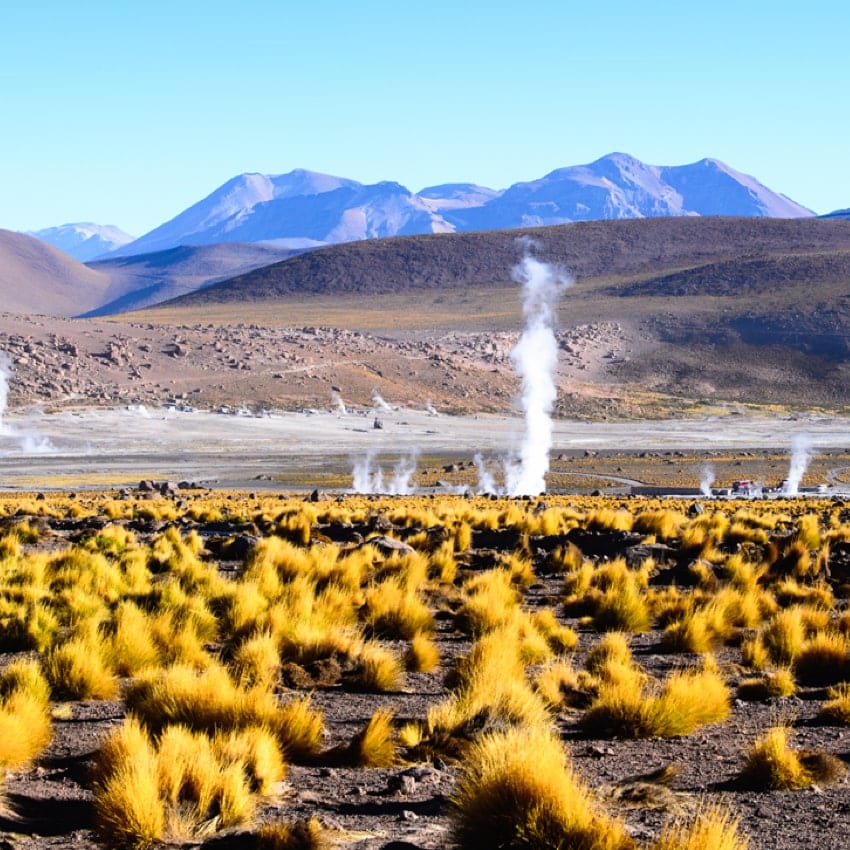 Geiser del Tatio · foto 3