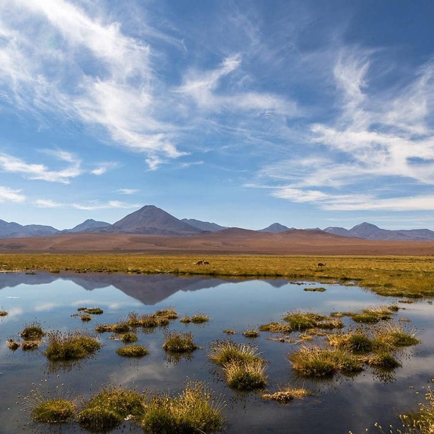 Geiser del Tatio · foto 5