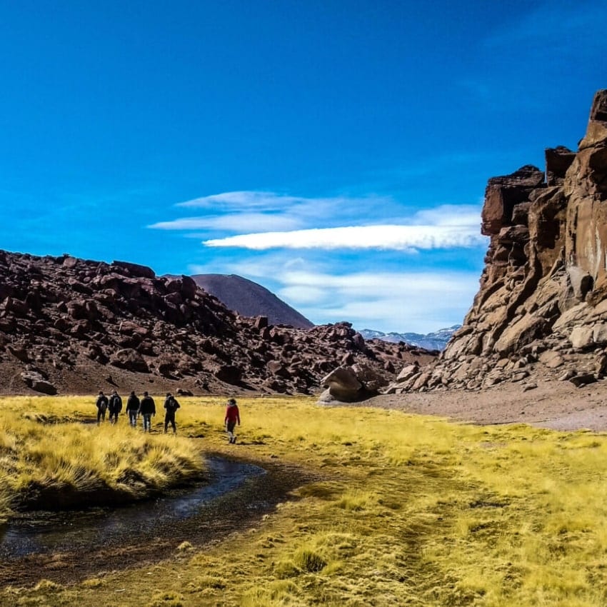 Géiser del Tatio + Termas o Trekking · foto 6
