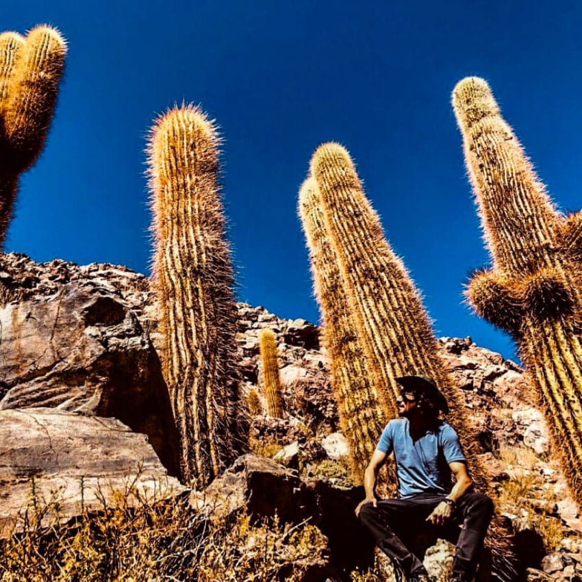 Géiser del Tatio + Termas o Trekking · foto 7