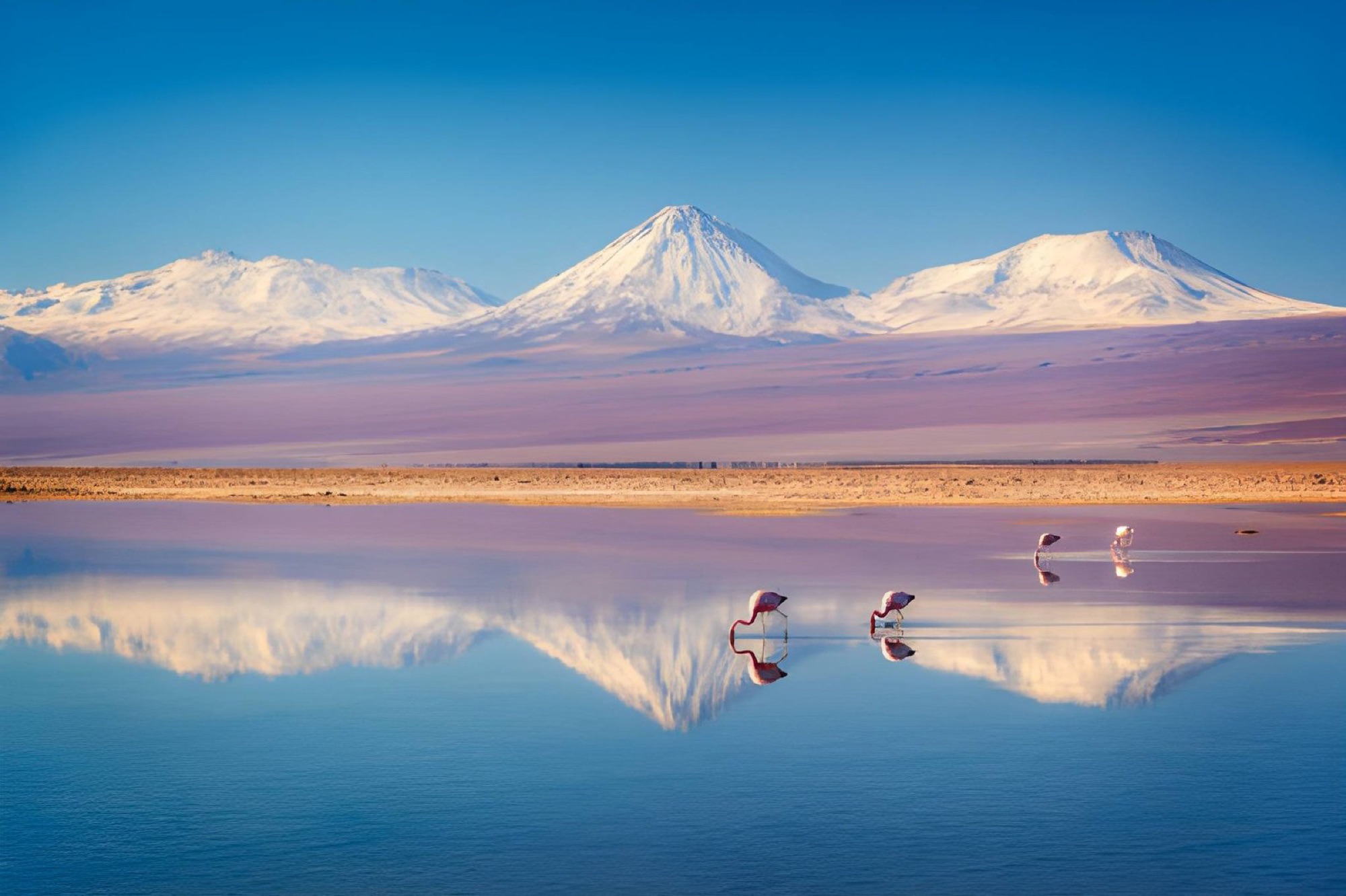 Lagunas: Cejar + Chaxa